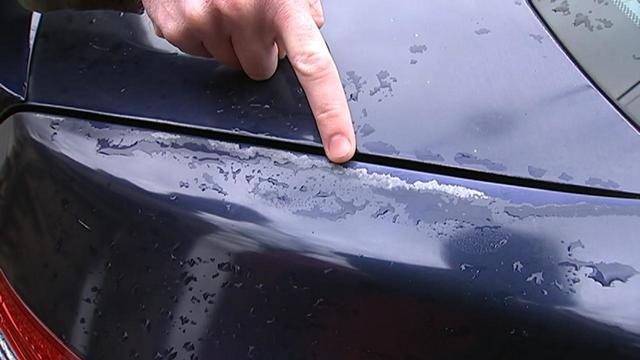 Honda paint recall Honda paint recall
